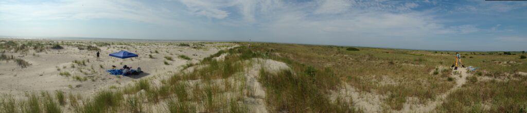 dune panorama