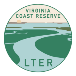 Virginia Coast Reserve - Long-term Ecological Research site