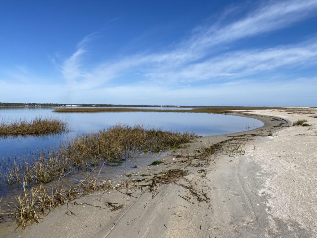 Masonboro Island marsh